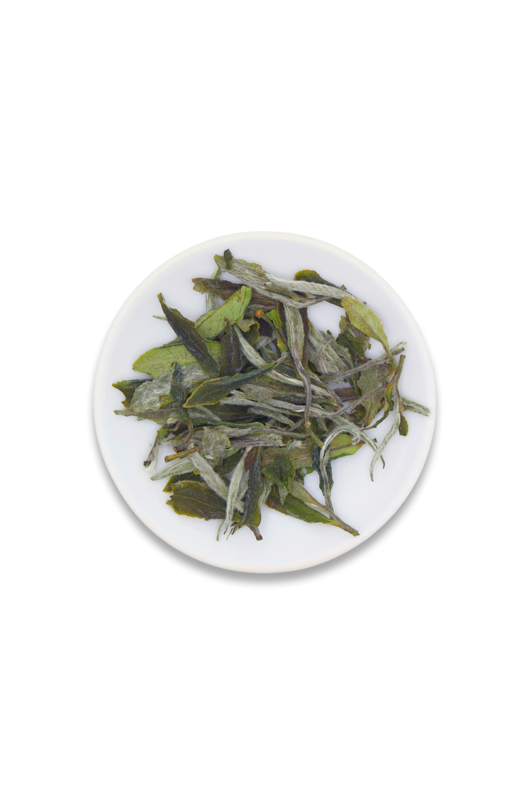White Peony // Bai Mu Dan