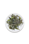 White Peony // Bai Mu Dan