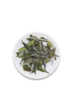 White Peony // Bai Mu Dan