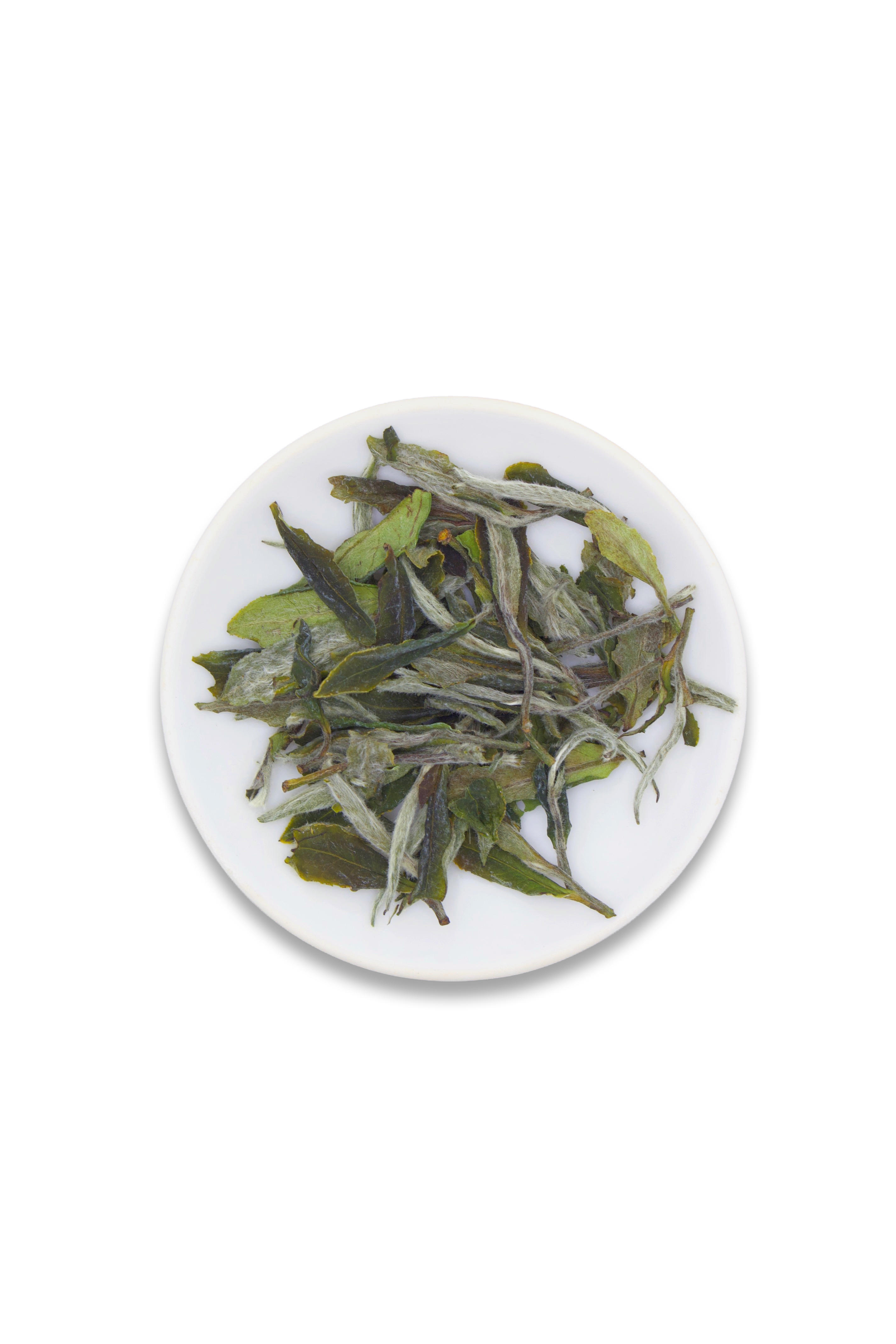 White Peony // Bai Mu Dan