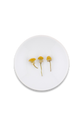 Chamomile