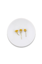 Chamomile