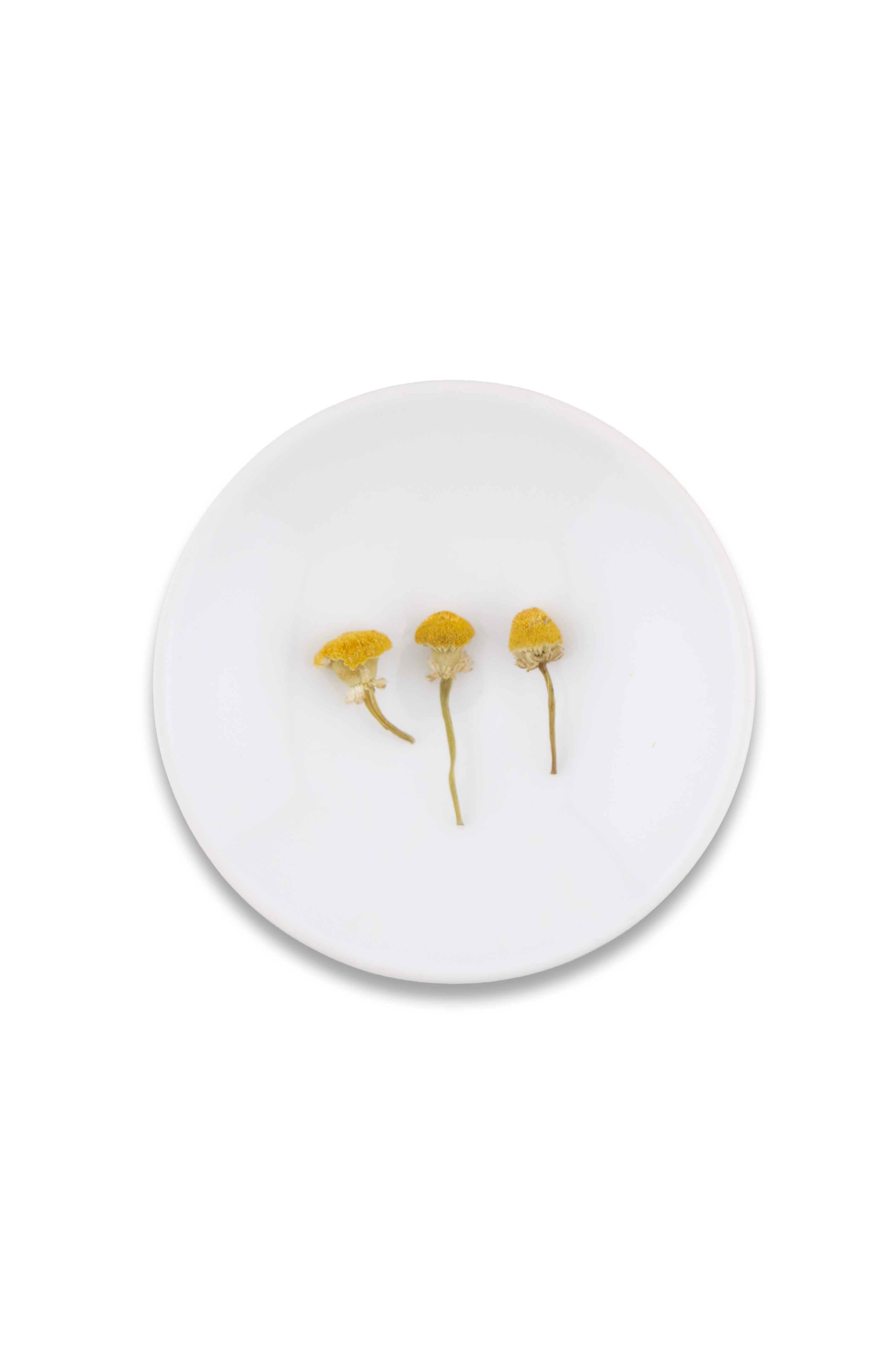 Chamomile